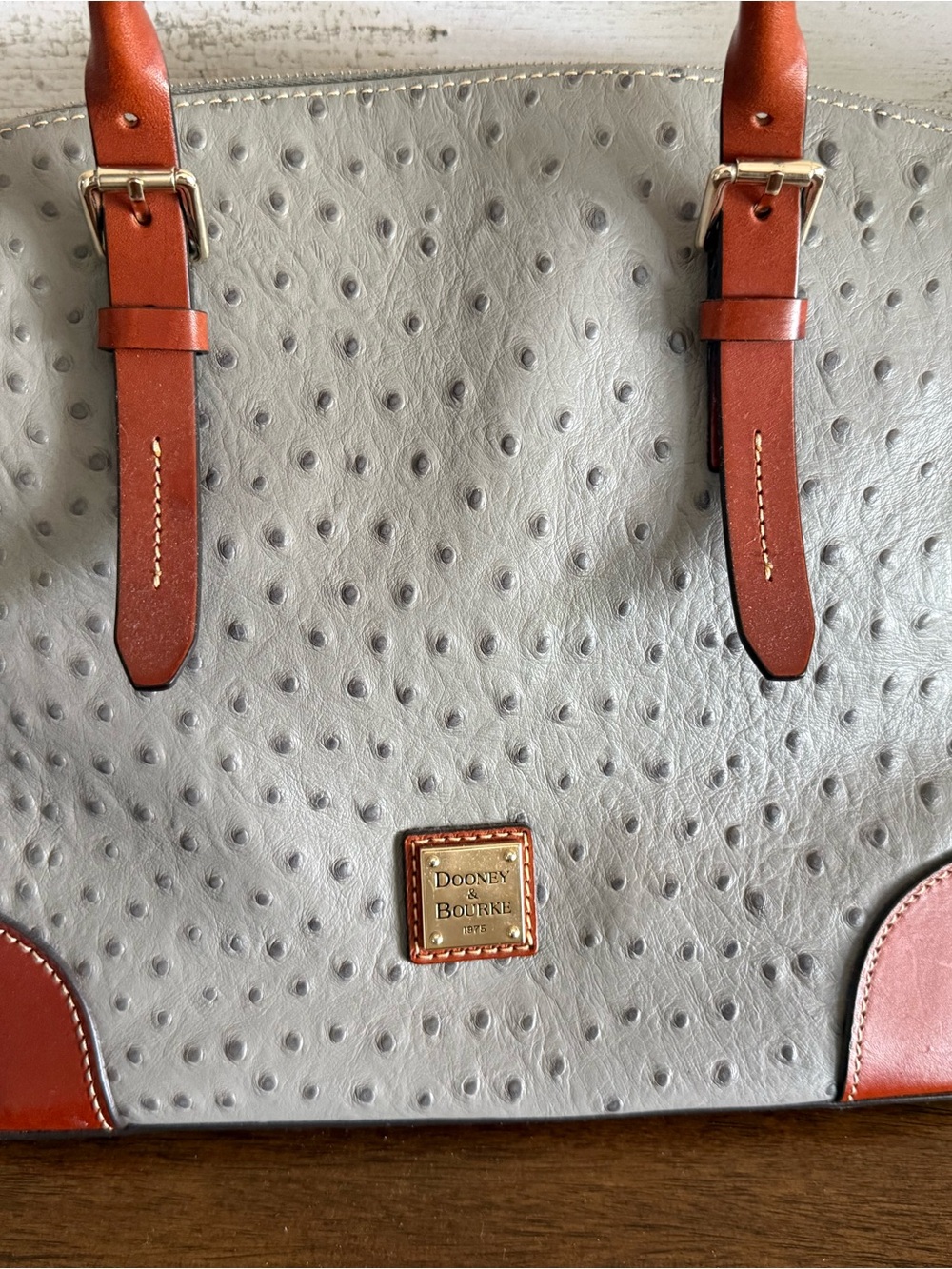 Dooney & Bourke Gray Ostrich-Texture Tote with Brown Trim
